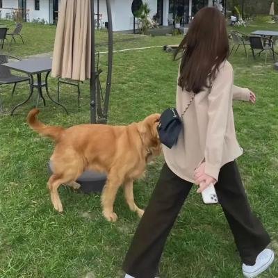 人质们